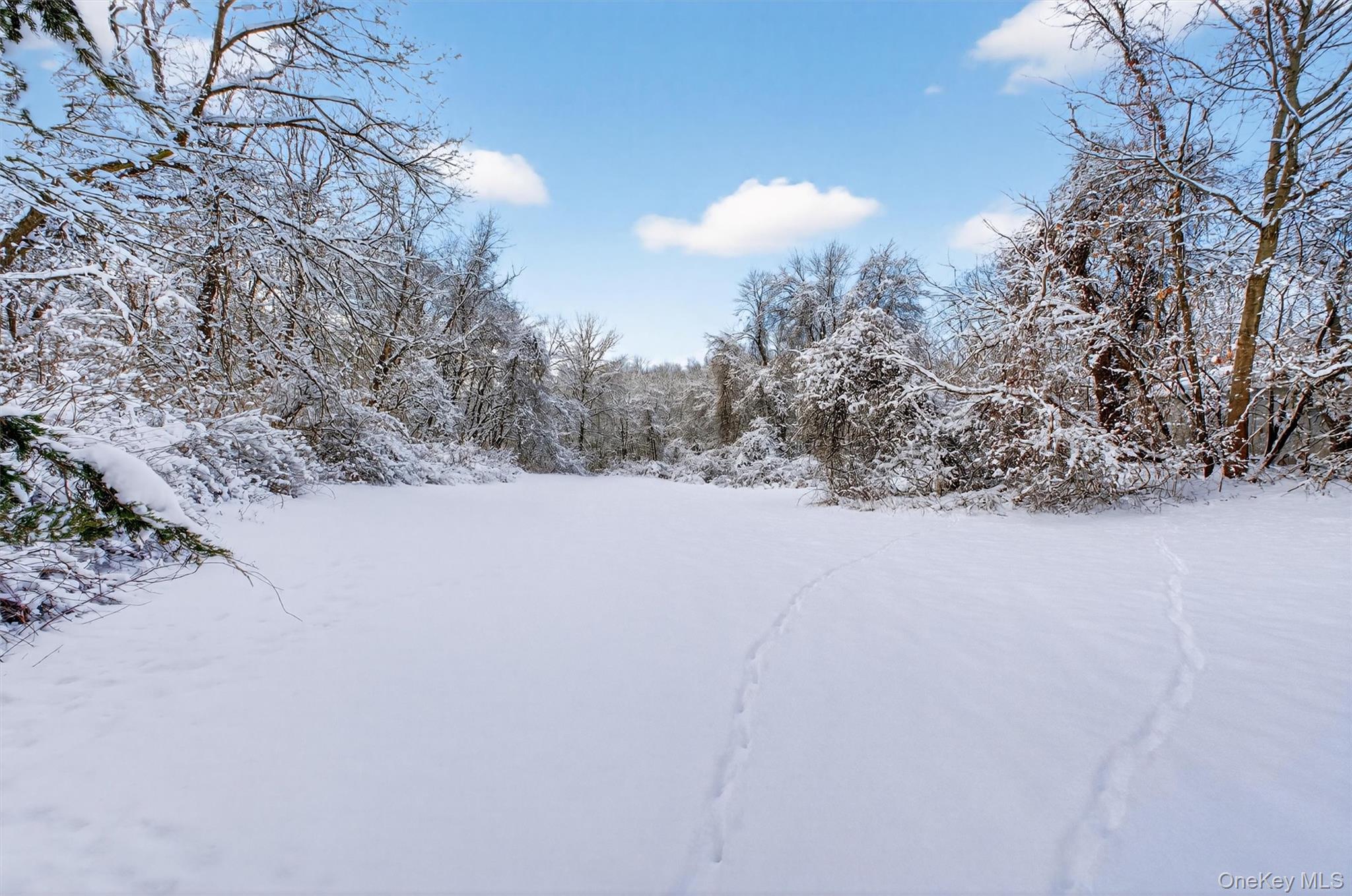 91 Clove Branch Road Hopewell Junction, NY 12533 - Photo 35 of 41