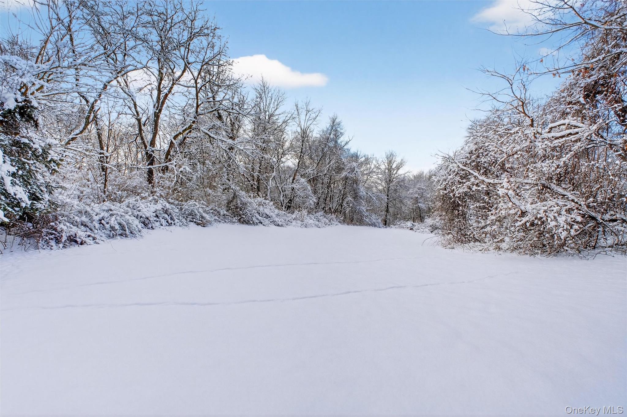 91 Clove Branch Road Hopewell Junction, NY 12533 - Photo 36 of 41