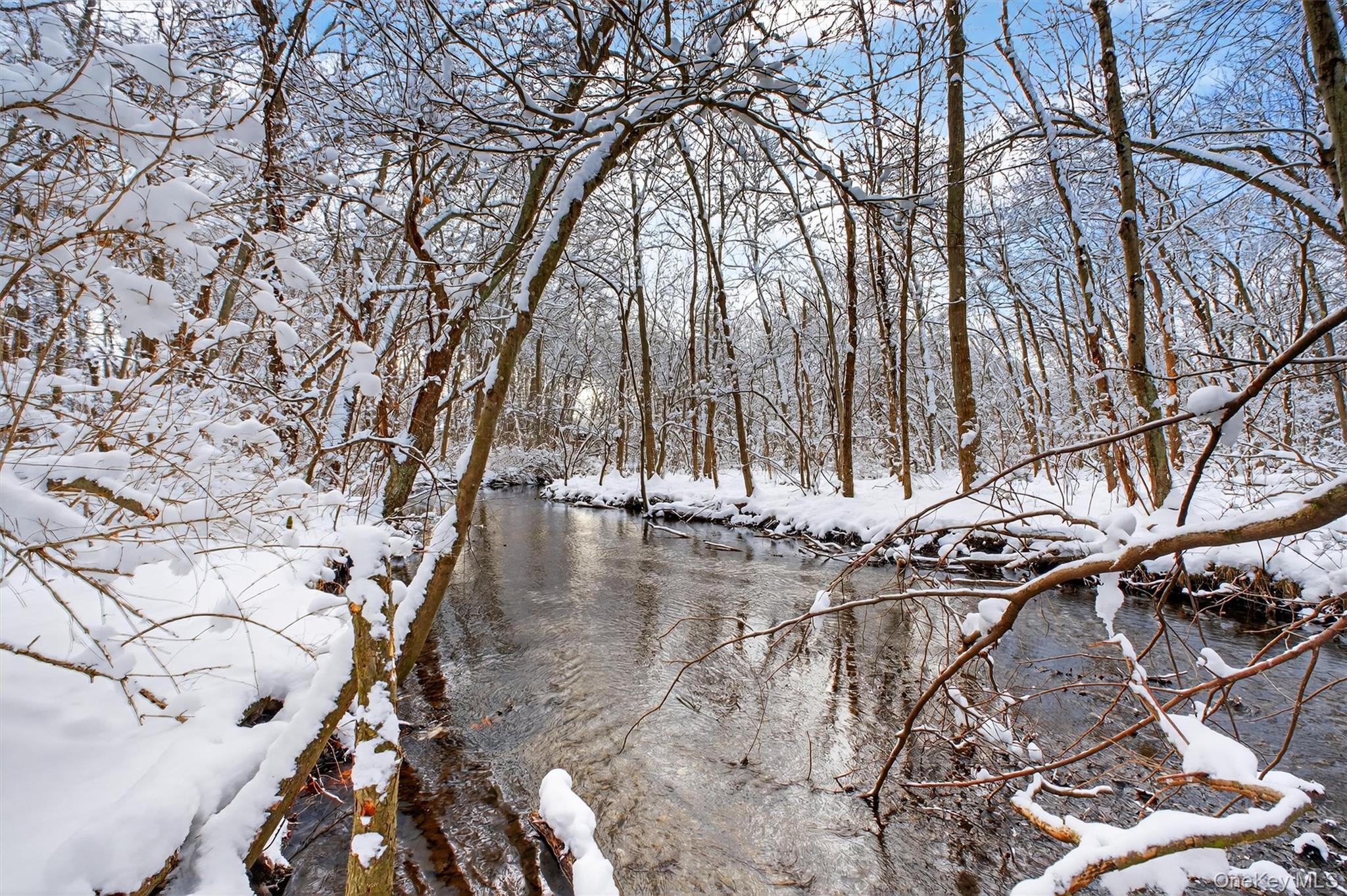 91 Clove Branch Road Hopewell Junction, NY 12533 - Photo 38 of 41 Stream