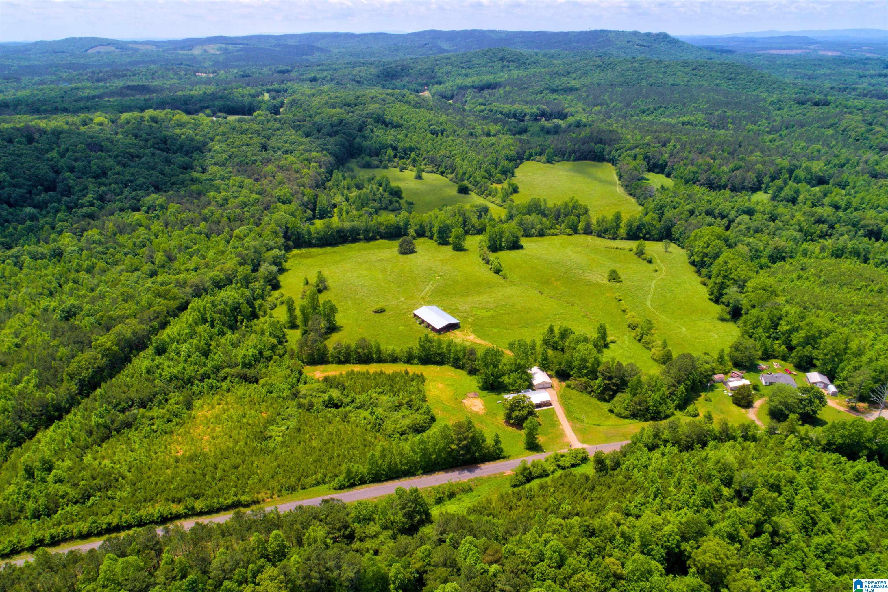 280 County Road 63 Ranburne, AL 36273 - Photo 40 of 43