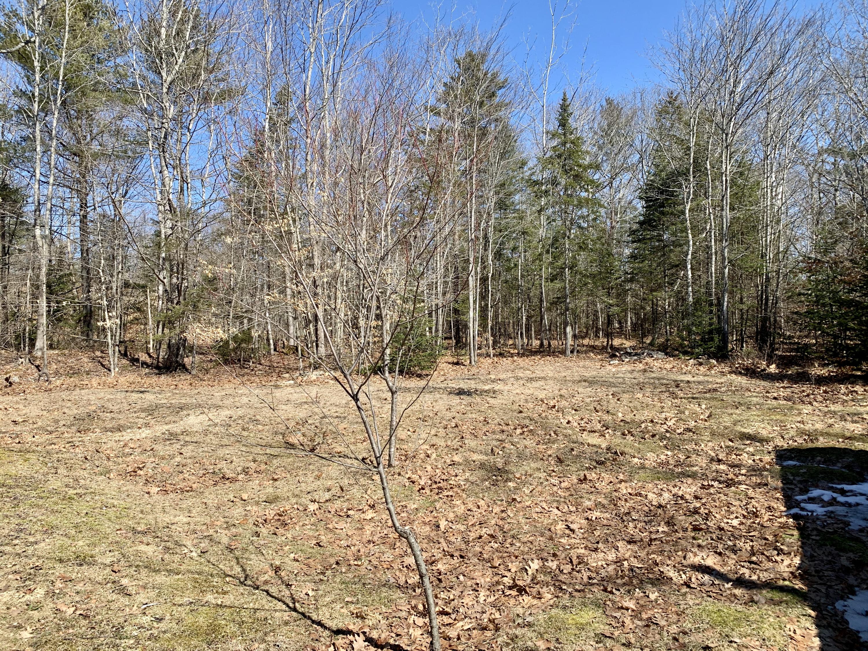 215 Town Farm Road Bucksport, ME 04416 - Photo 29 of 34 20200322_170842789_iOS