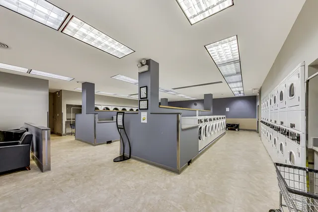 a view of a large trees with a big yard