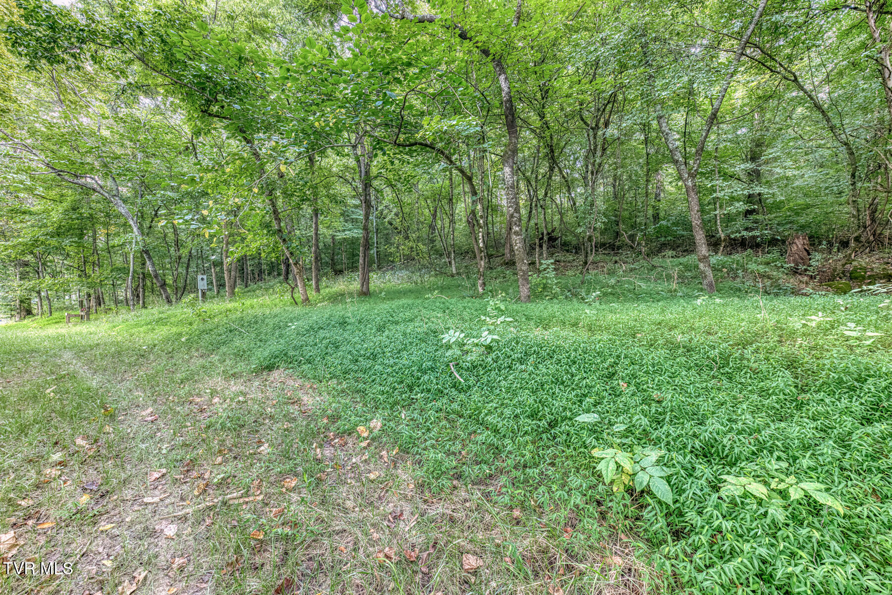 1633 Poplar Springs Road, Unit 6 Greeneville, TN 37743 - Photo 15 of 30 1633 Poplar Springs Rd-15