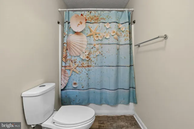 a white toilet sitting next to a shower curtain