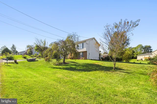 a potted plant sitting on the side of a building