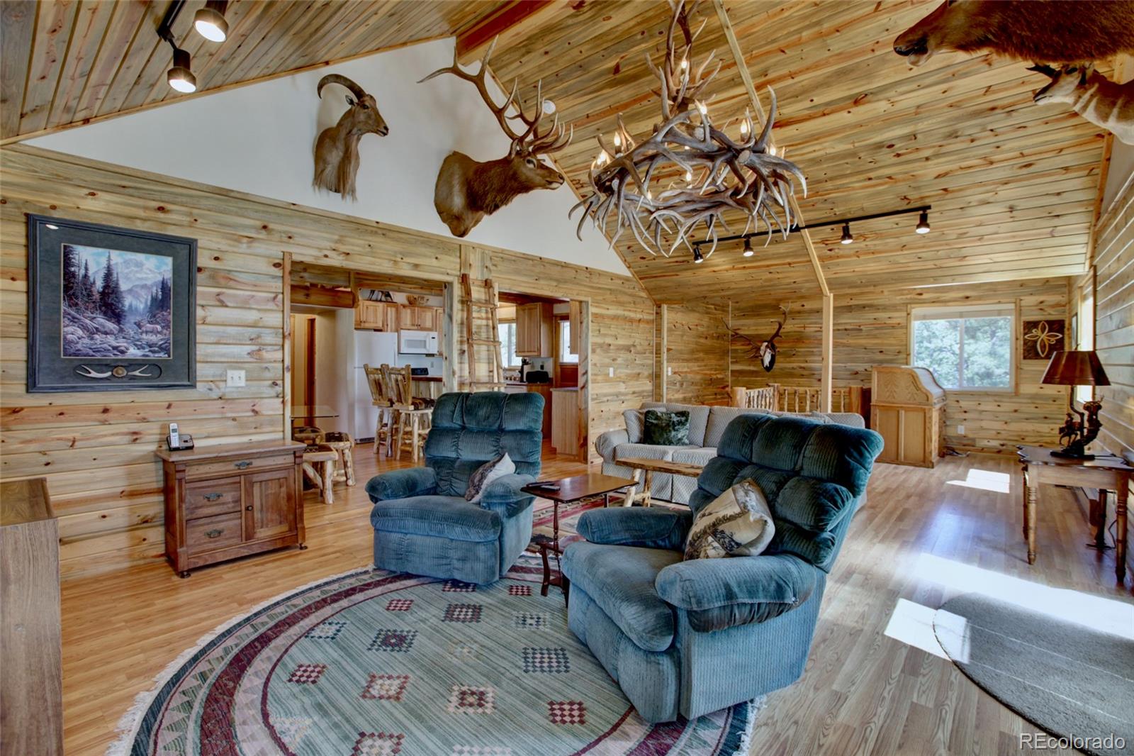 530 Red Feather Road Cotopaxi, CO 81223 - Photo 2 of 46 a living room with furniture and a flat screen tv