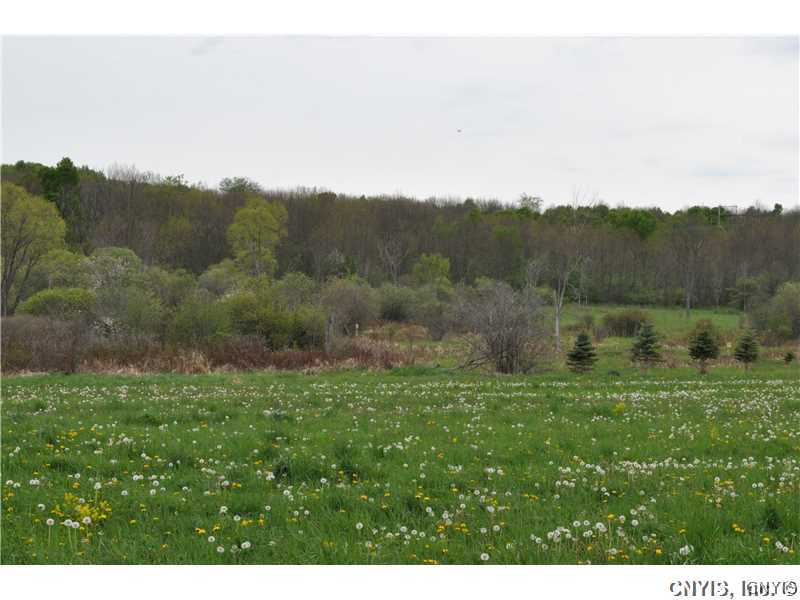 0 South Side Arthur Road Lowville, NY 13367 - Photo 1 of 1 Land.