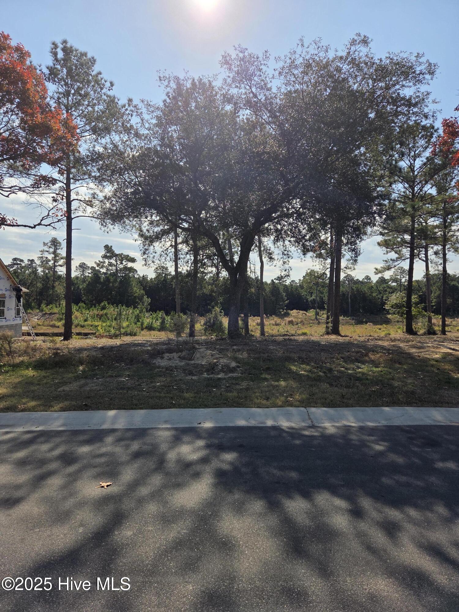 7501 Wallace Place Southwest Sunset Beach, NC 28468 - Photo 1 of 5 20251119_114650