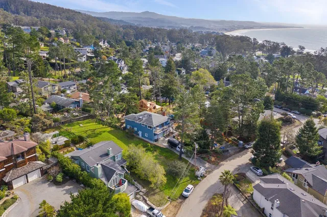 an aerial view of residential houses with outdoor space and trees