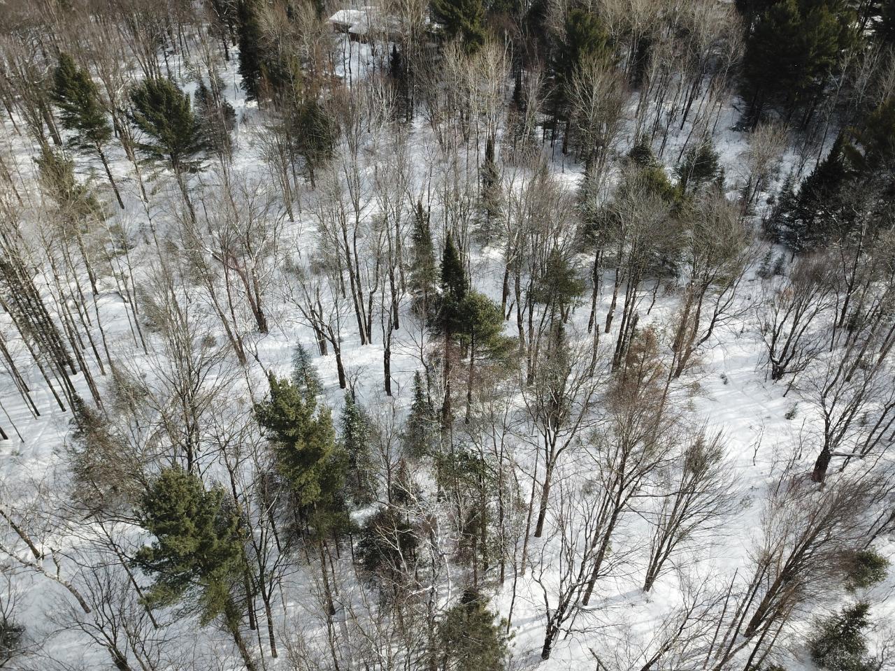 On Colburn Road Rhinelander, WI 54501 - Photo 13 of 20 Gallery Image 13
