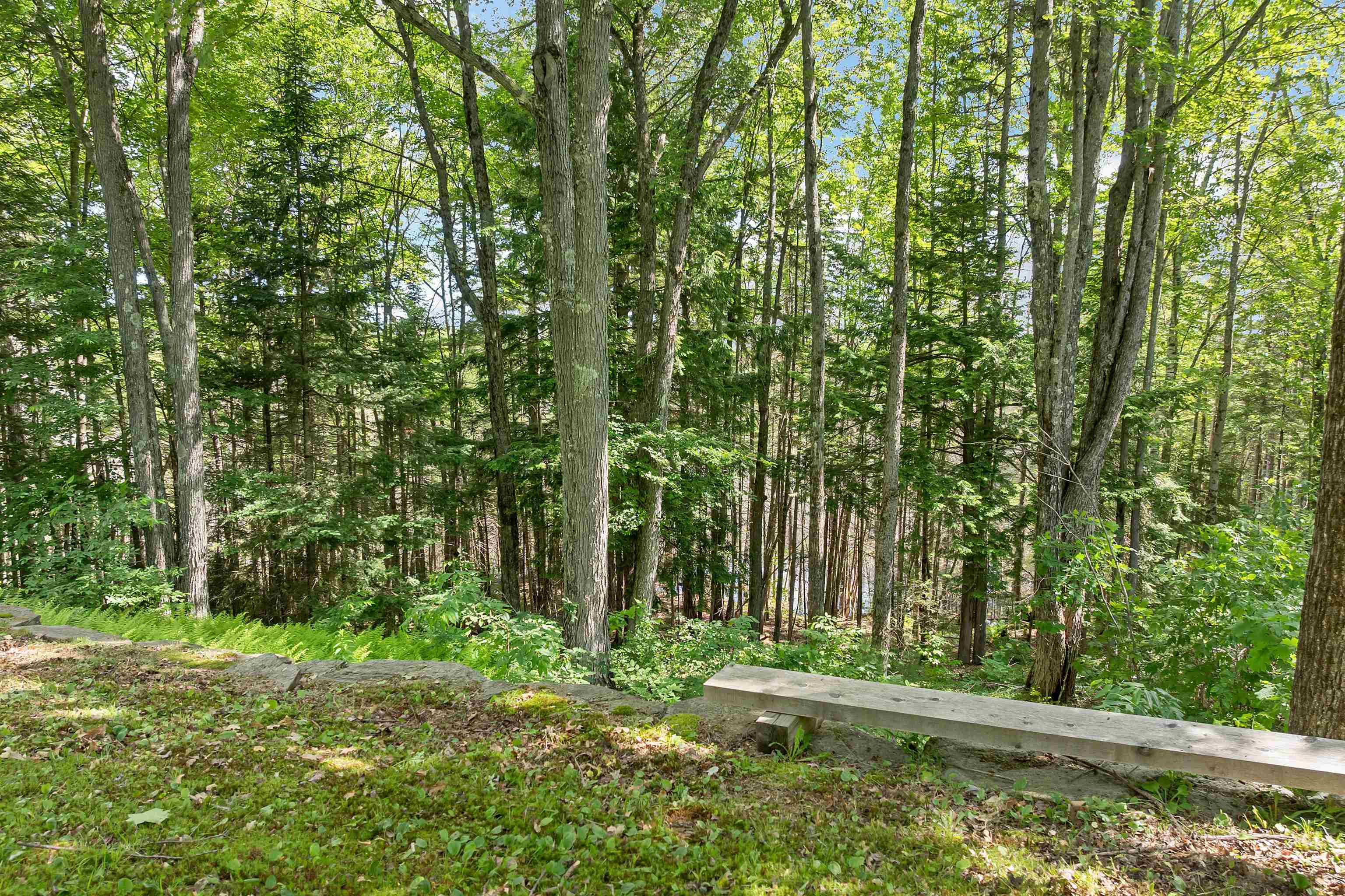 61 MacDonald Lane Rumney, NH 03266 - Photo 11 of 56