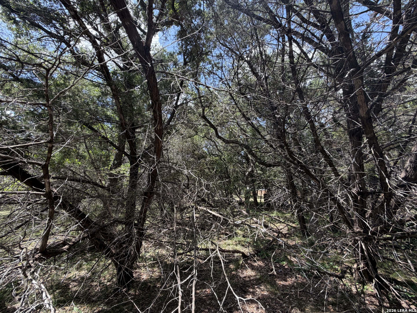 180 Rosenberry Bulverde, TX 78163 - Photo 13 of 28 Gallery Image 13