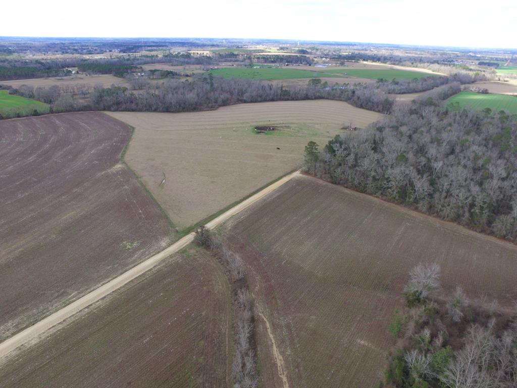 Lot 11 J B Jackson Road Ashford, AL 36312 - Photo 1 of 1