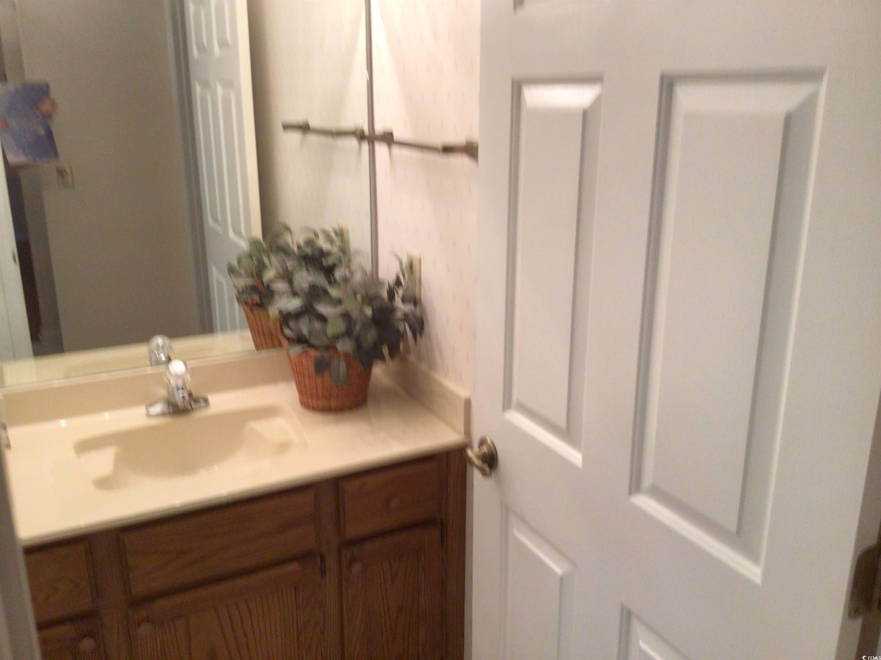 107 Myrtle Trace Drive Conway, SC 29526 - Photo 20 of 31 Bathroom with vanity