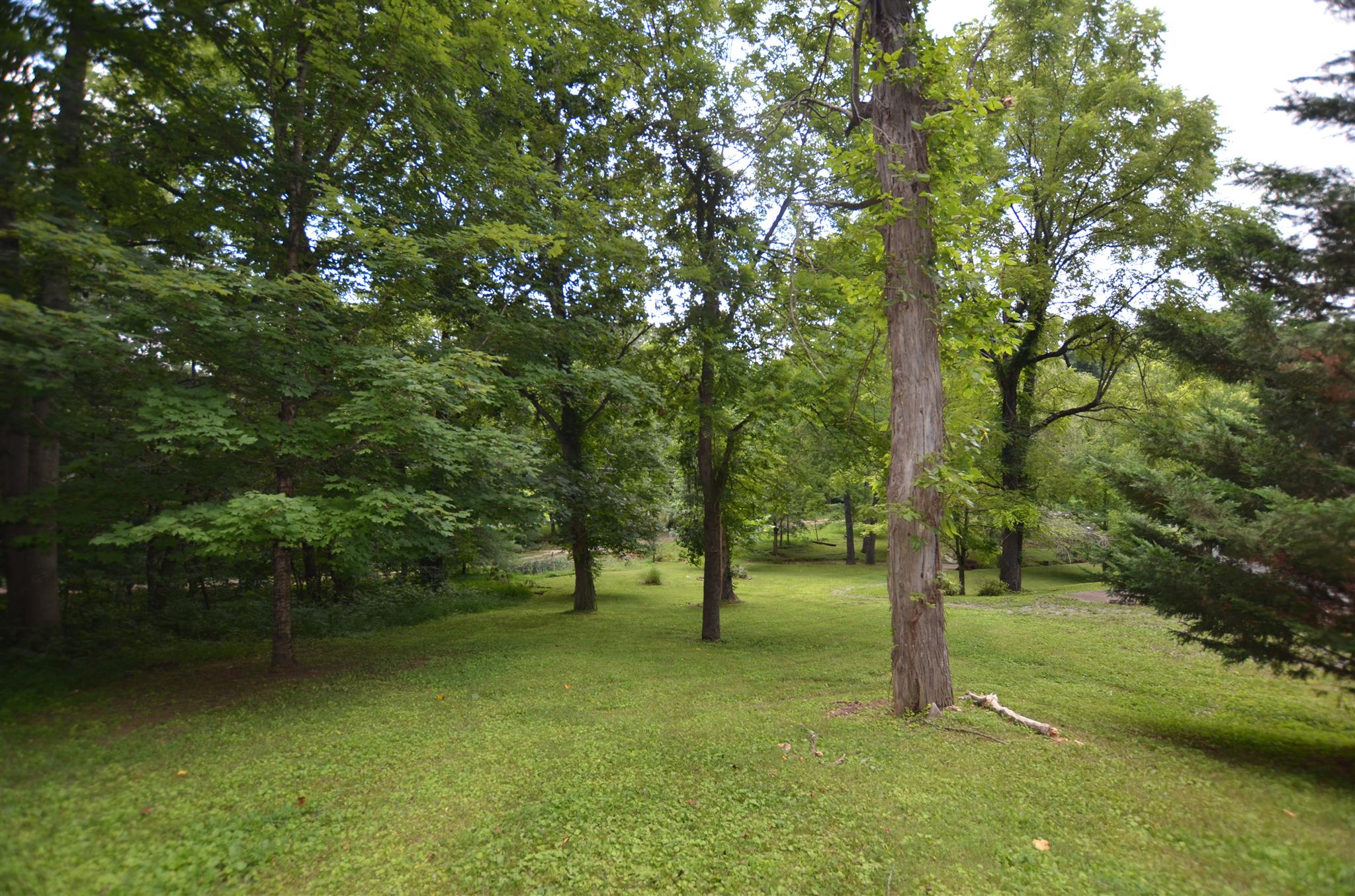 7841 Covington Road White House, TN 37188 - Photo 13 of 18