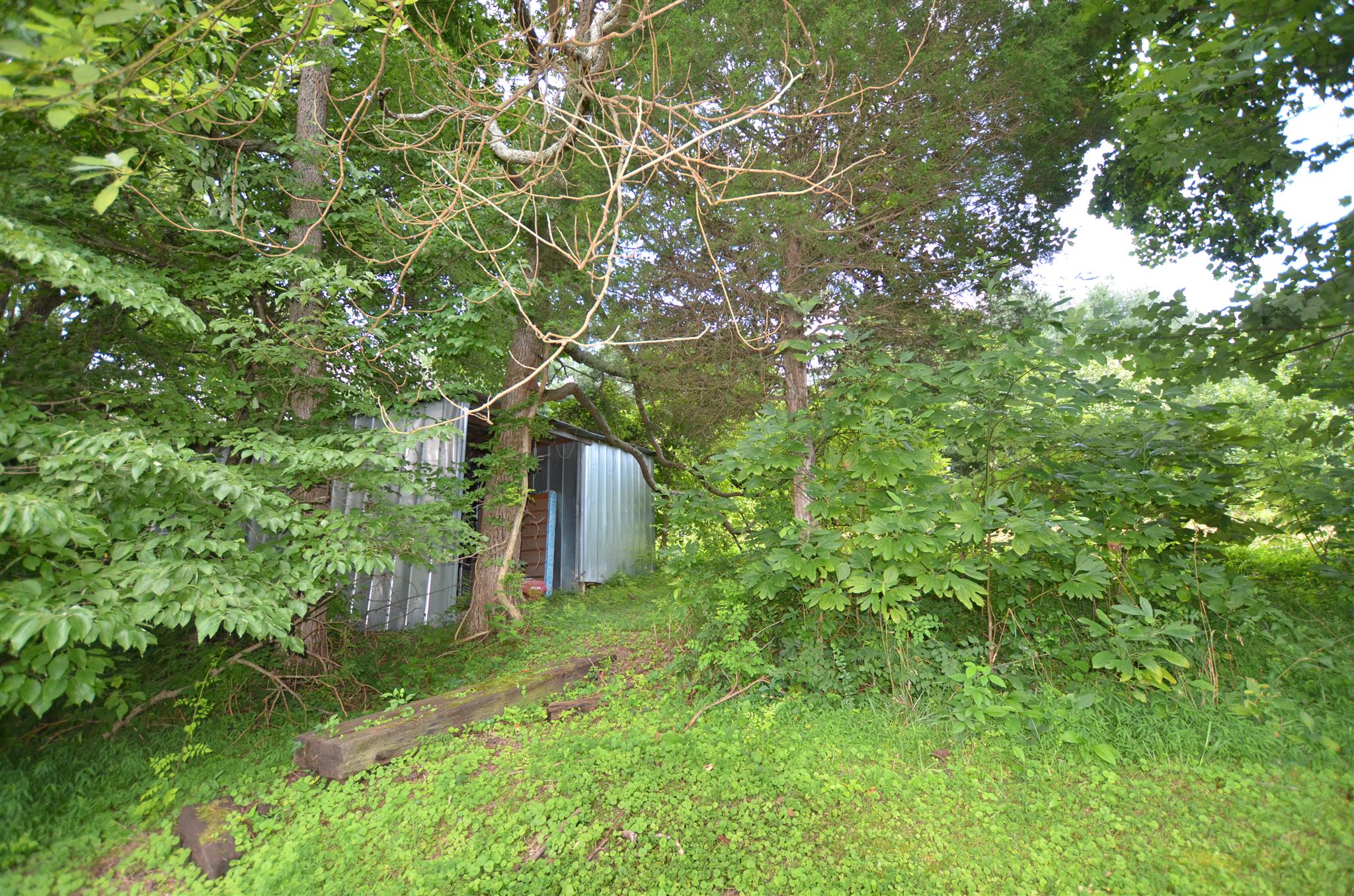 7841 Covington Road White House, TN 37188 - Photo 10 of 18