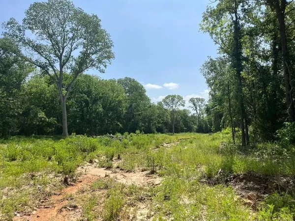 $109,000 | Lot 45 Antrim Court, Poolville, TX 76487