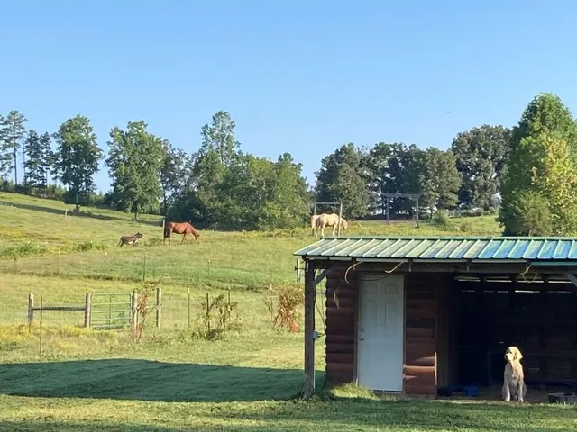 $699,900 | 1570 Halls Valley Road, Trion, GA 30753