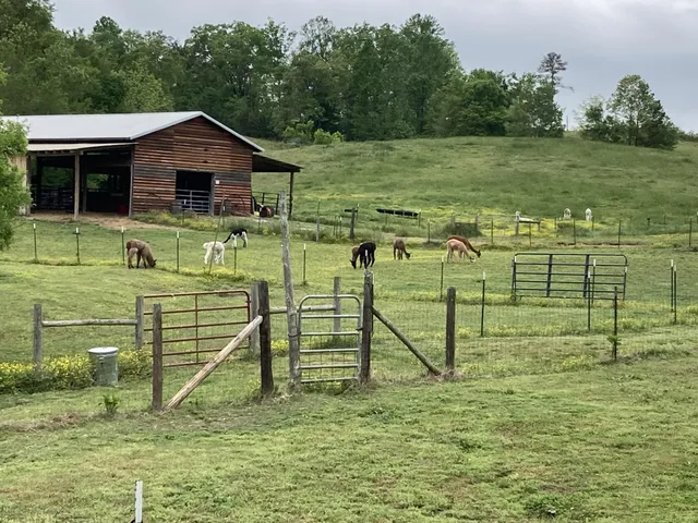 $699,900 | 1570 Halls Valley Road, Trion, GA 30753