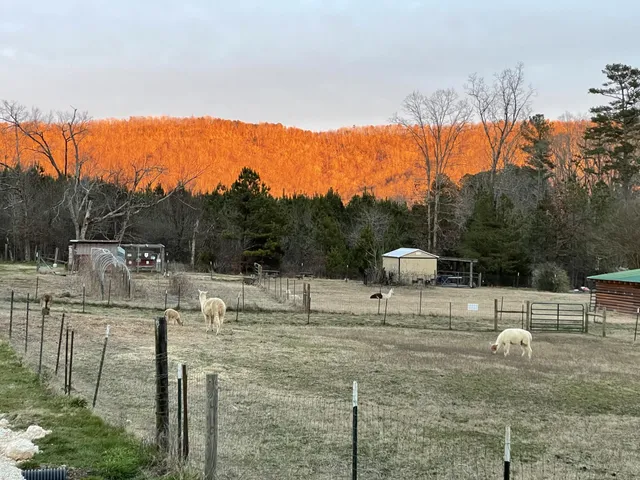 $699,900 | 1570 Halls Valley Road, Trion, GA 30753