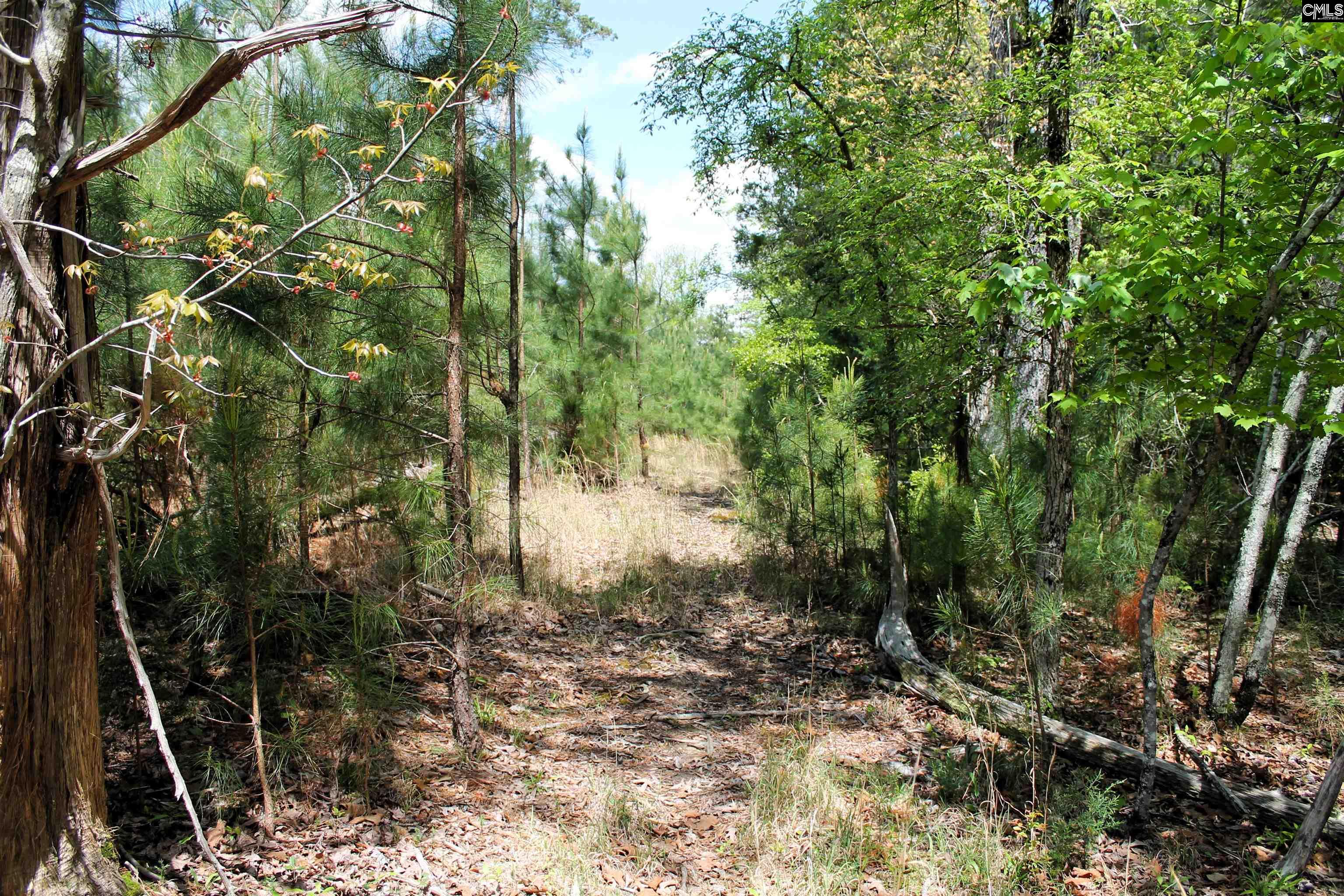 Tbd Crooked Creek Road Chapin, SC 29036 - Photo 13 of 20