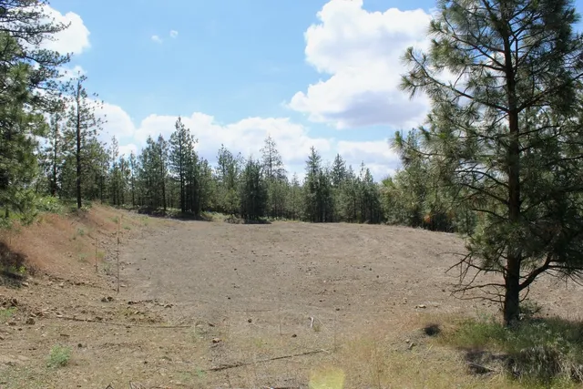 $89,000 | Flicker Lot 4 Flicker Drive, Davenport, WA 99122
