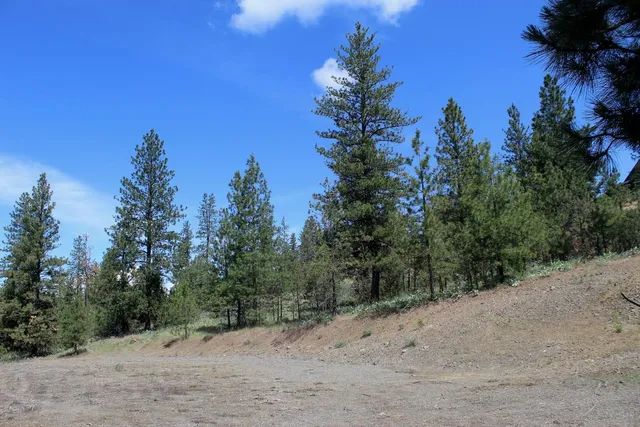 $89,000 | Flicker Lot 4 Flicker Drive, Davenport, WA 99122