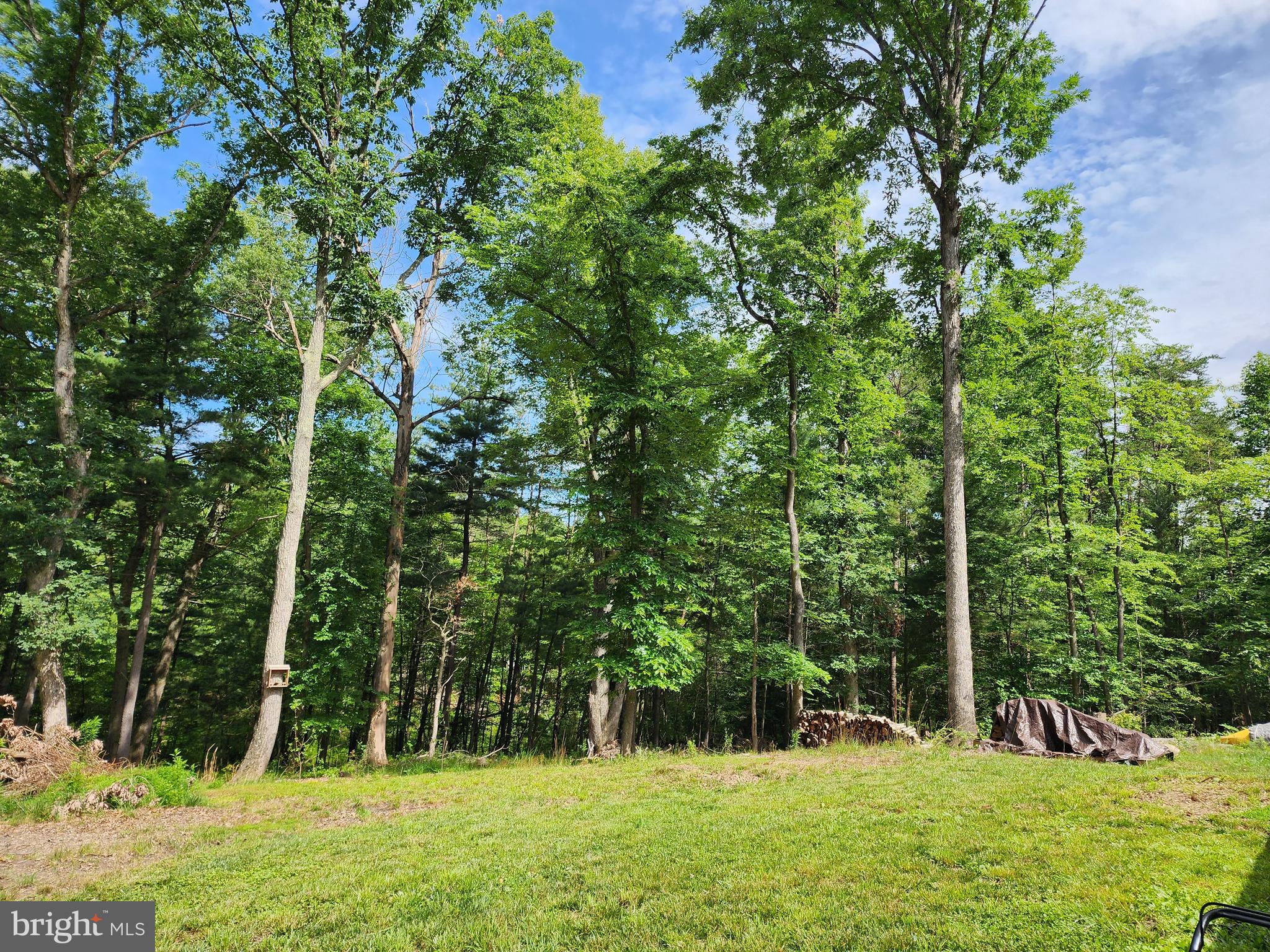 598 County Rte 1/1 Berkeley Springs, WV 25411 - Photo 24 of 25 Back Yard