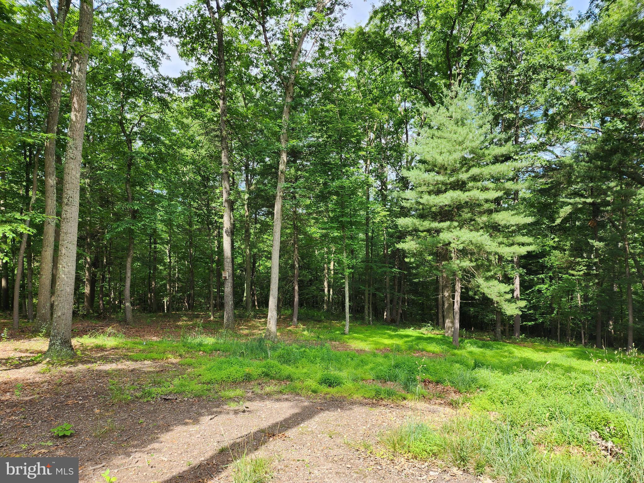 598 County Rte 1/1 Berkeley Springs, WV 25411 - Photo 25 of 25 Yard/Woods