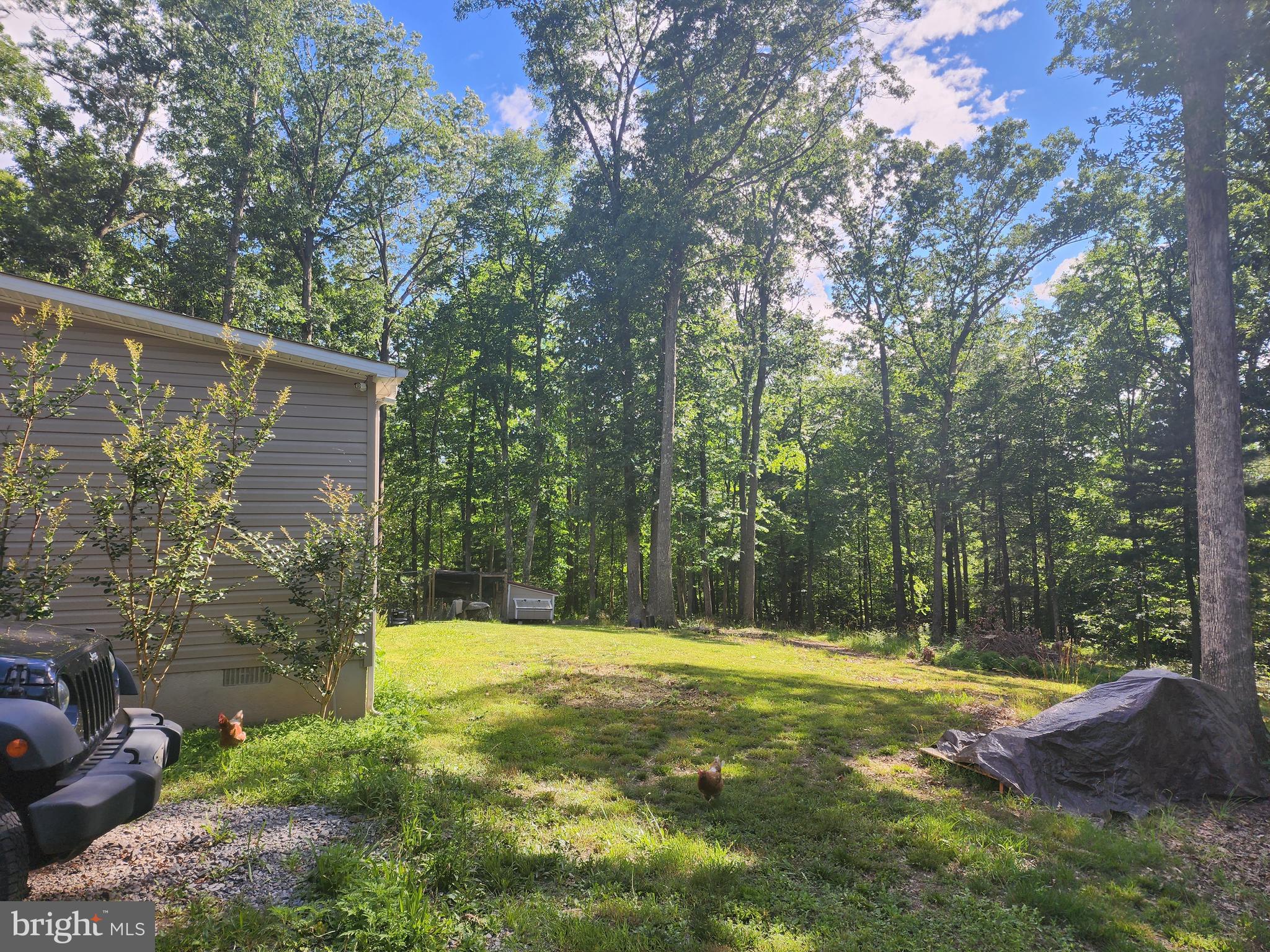 598 County Rte 1/1 Berkeley Springs, WV 25411 - Photo 3 of 25 Back Yard