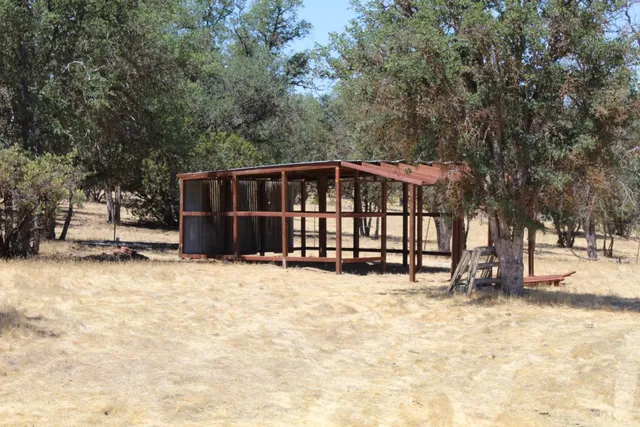 a view of a garden with trees