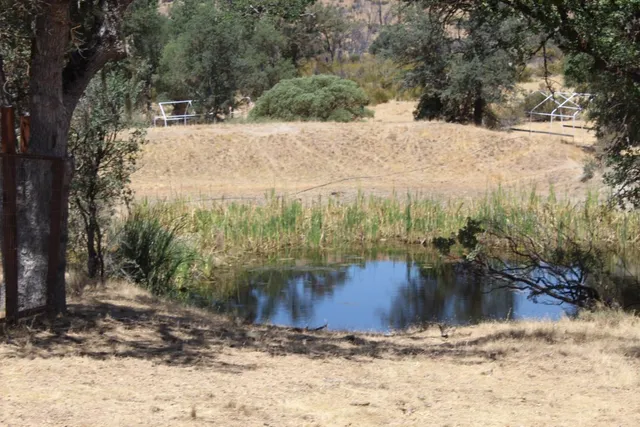 $1,125,000 | 44500 San Antonio Valley Road, Livermore, CA 94550