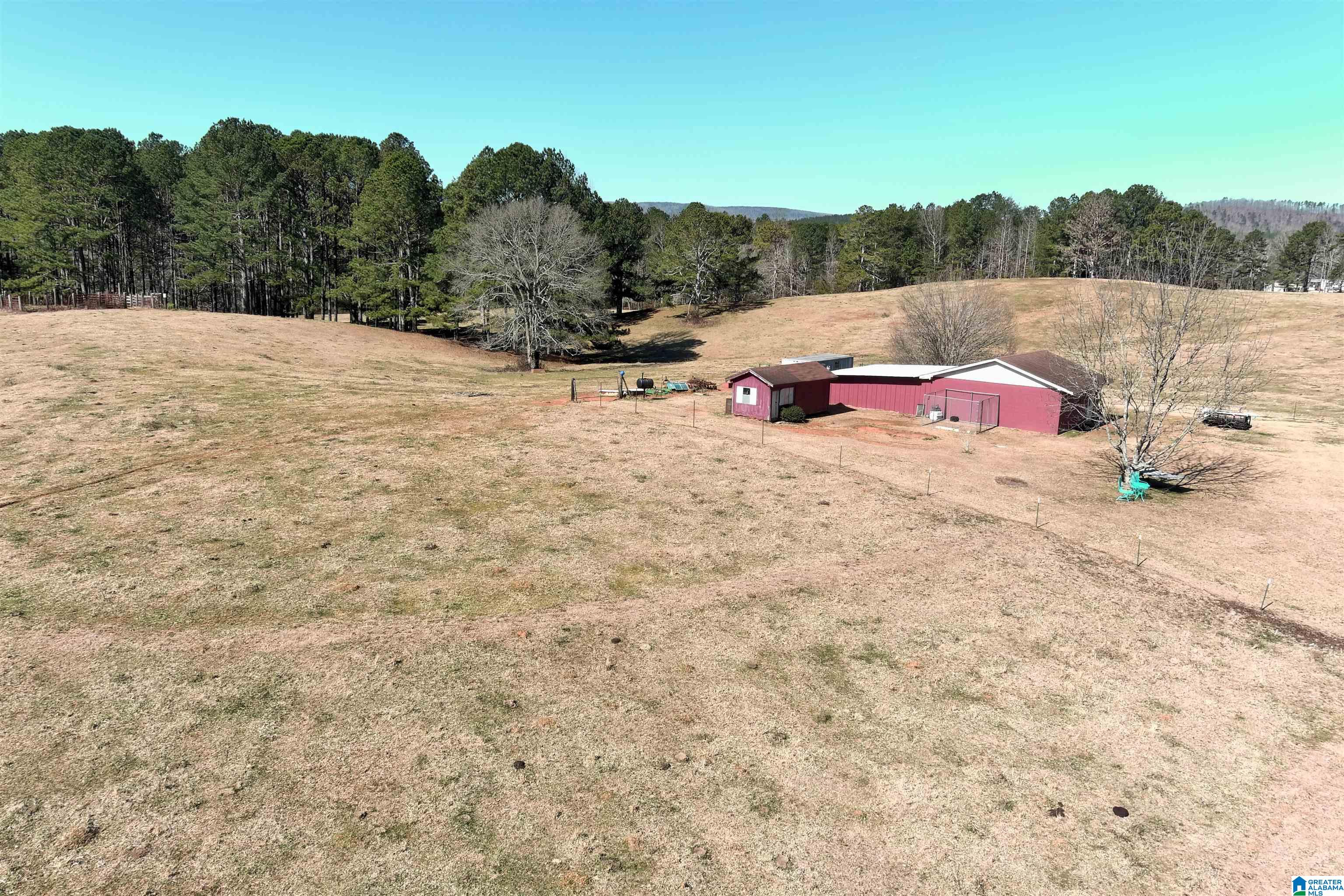 3081 Barfield Fire Department Road Lineville, AL 36266 - Photo 47 of 50