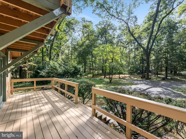 a view of backyard with deck and trees
