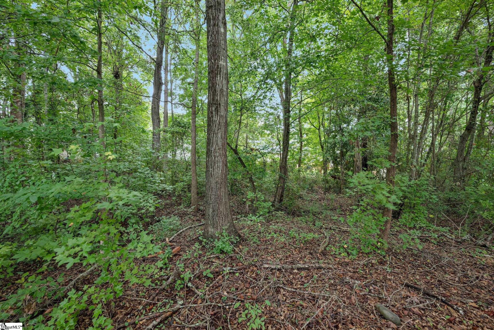 154 Ashton Lane Anderson, SC 29621 - Photo 29 of 32 Gallery Image 29
