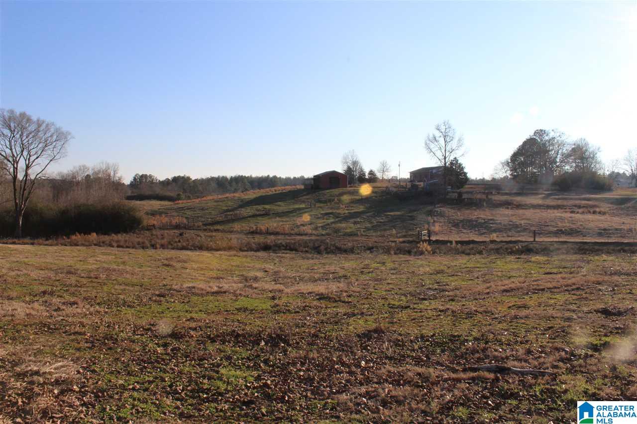 3601 Brookside Road Brilliant, AL 35548 - Photo 29 of 33