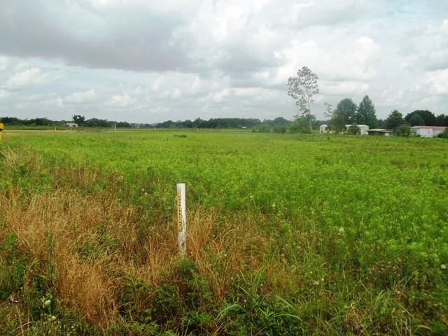 1400-blk Smith Dairy Road Atmore, AL 36502 - Photo 2 of 9