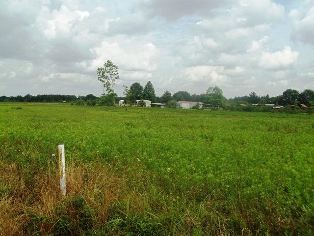 1400-blk Smith Dairy Road Atmore, AL 36502 - Photo 4 of 9