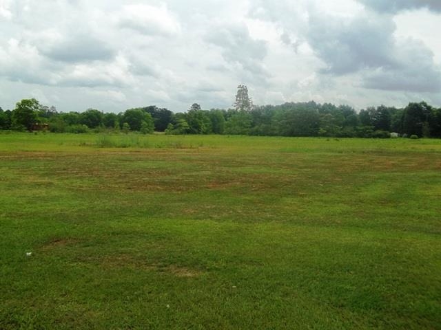 1400-blk Smith Dairy Road Atmore, AL 36502 - Photo 6 of 9