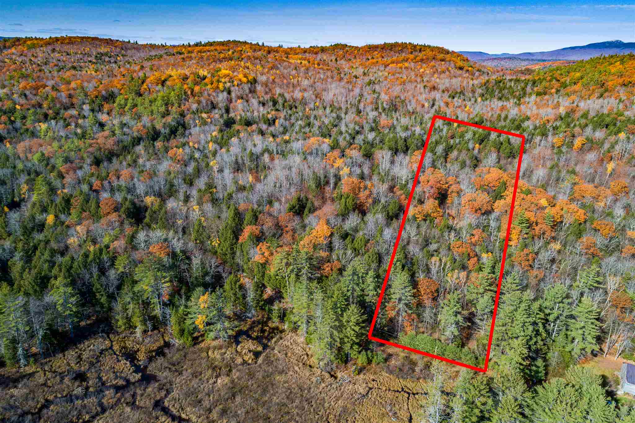 Lot 29 Ford MIll Road Danbury, NH 03230 - Photo 2 of 11 Gallery Image 2