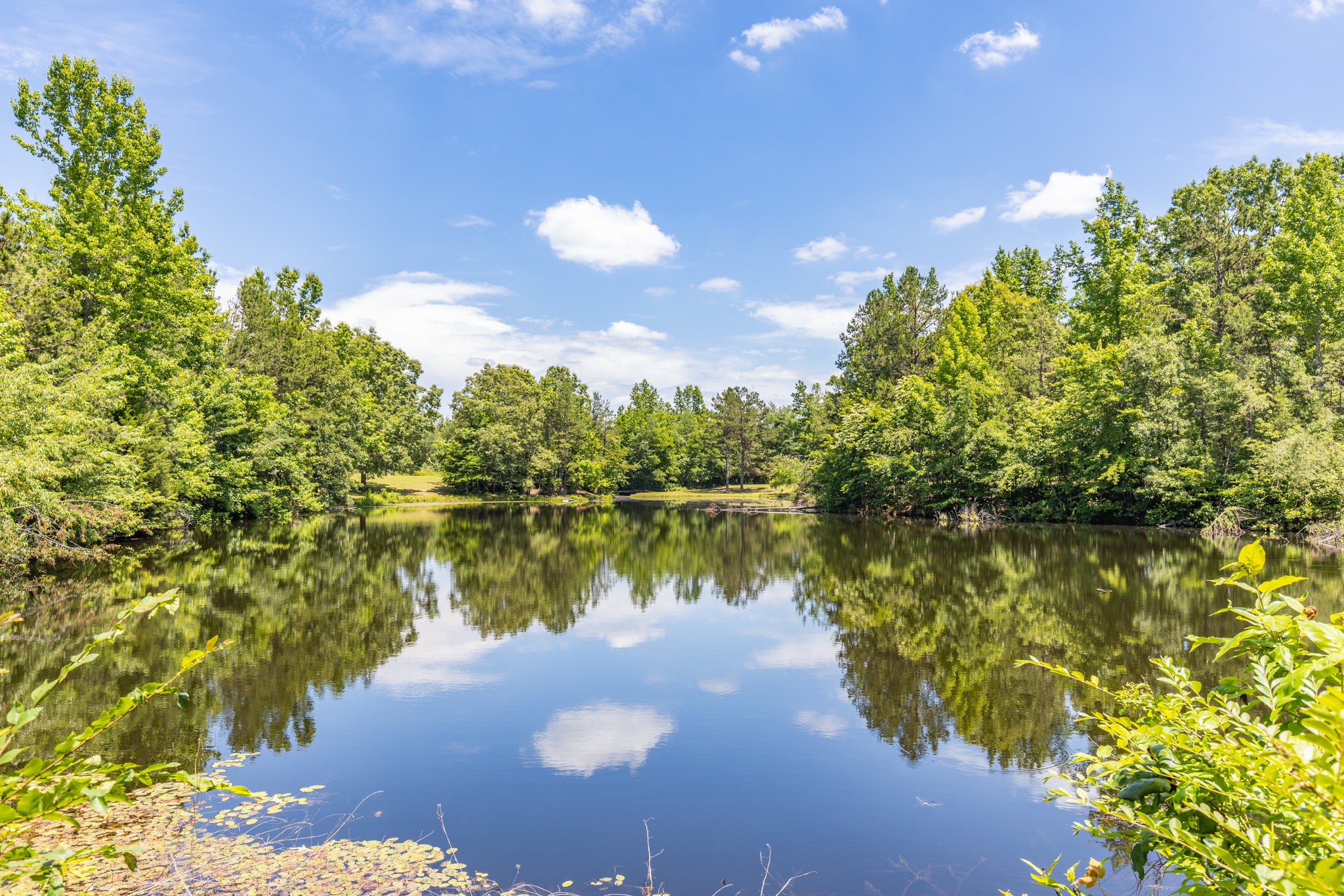 424 Charles McClearen Road Hohenwald, TN 38462 - Photo 42 of 80