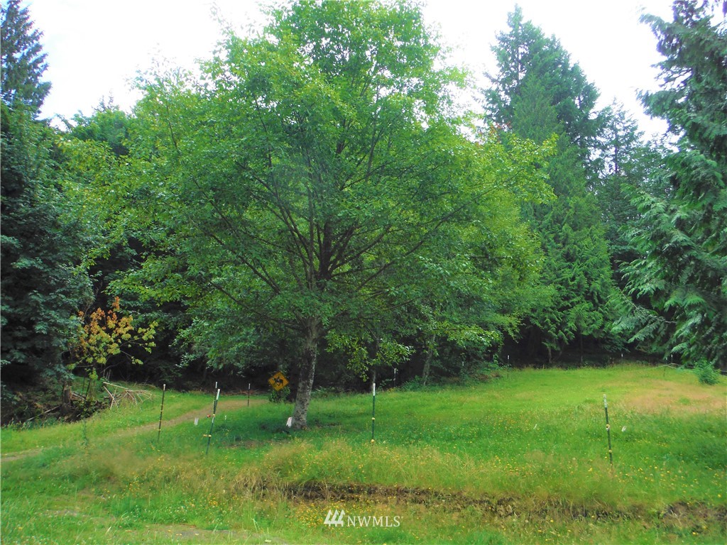 22415 Cherry Valley Road Monroe, WA 98272 - Photo 3 of 25 Gallery Image 3