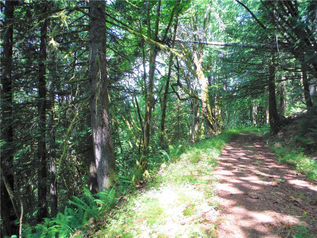 22415 Cherry Valley Road Monroe, WA 98272 - Photo 22 of 25 Gallery Image 22