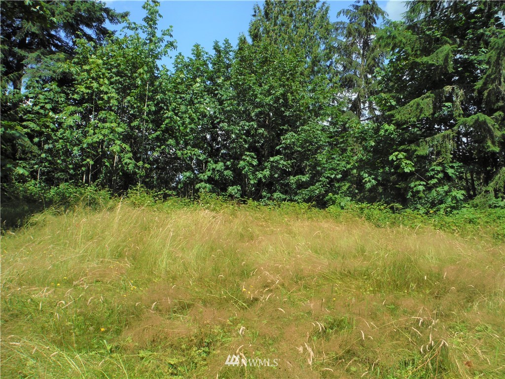 22415 Cherry Valley Road Monroe, WA 98272 - Photo 25 of 25 Gallery Image 25