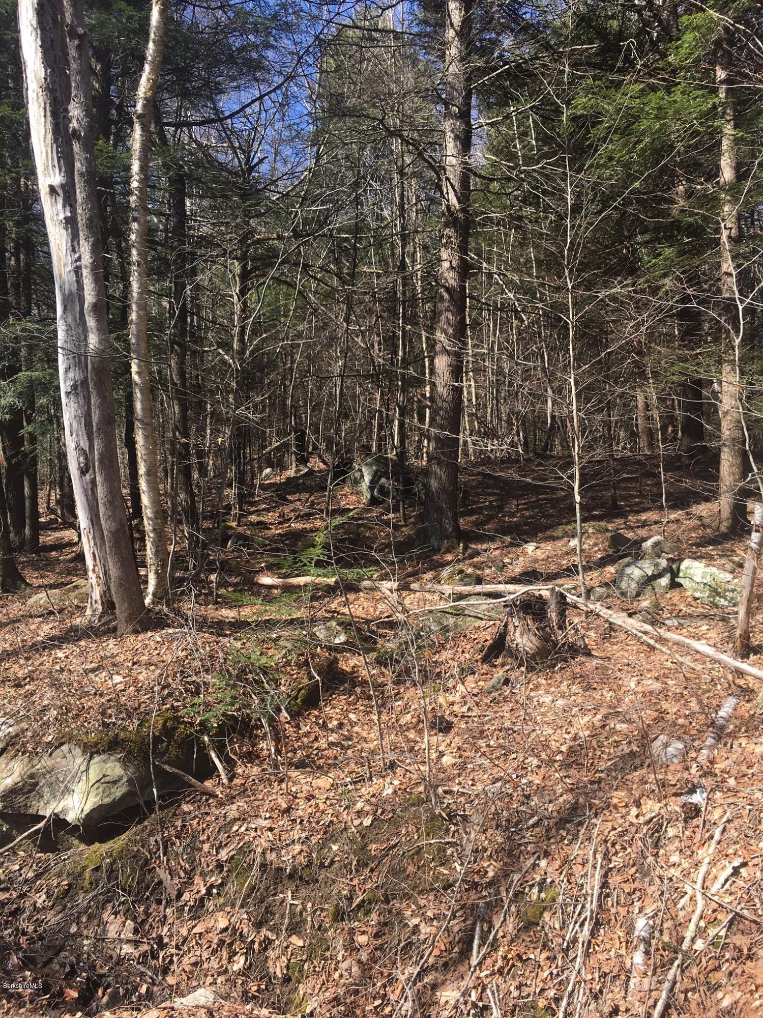 Lot 1 Bancroft Road Becket, MA 01223 - Photo 2 of 8 a backyard of a house with lots of green space