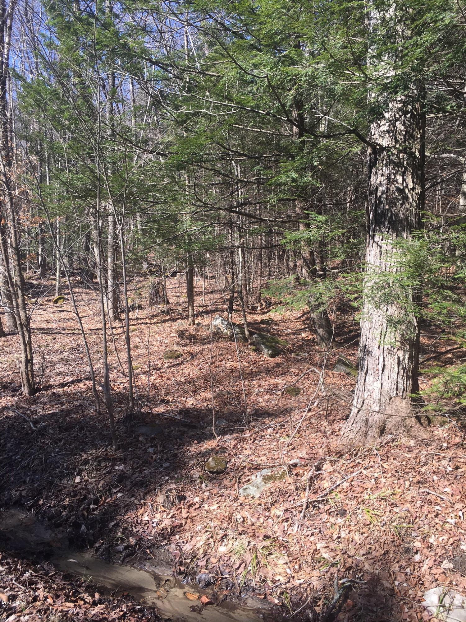 Lot 1 Bancroft Road Becket, MA 01223 - Photo 5 of 8 a view of a yard with trees