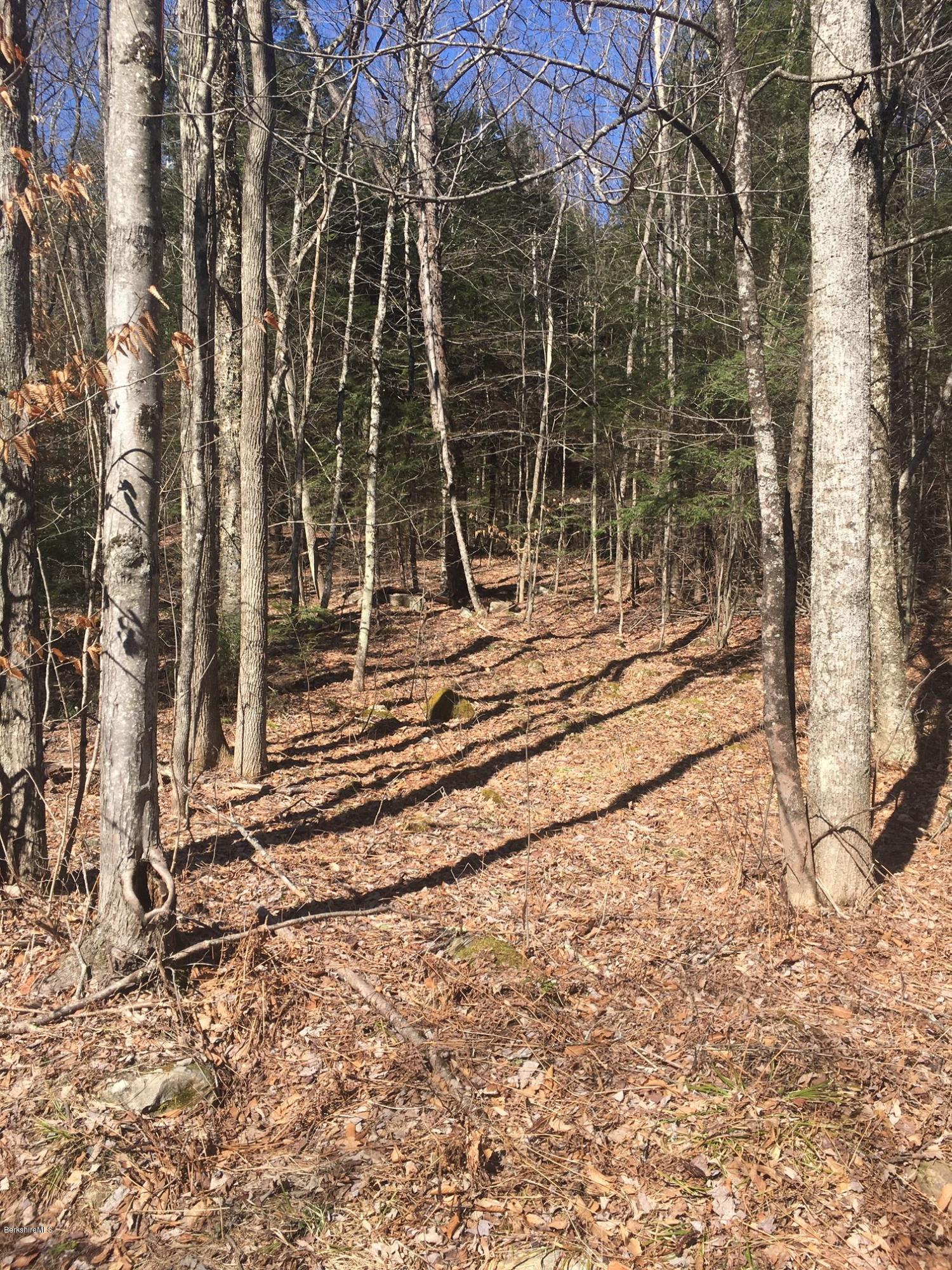 Lot 1 Bancroft Road Becket, MA 01223 - Photo 6 of 8 a view of a yard with street and trees