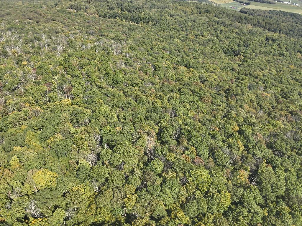 0 Forest Road Boswell, PA 15531 - Photo 8 of 17 Gallery Image 8