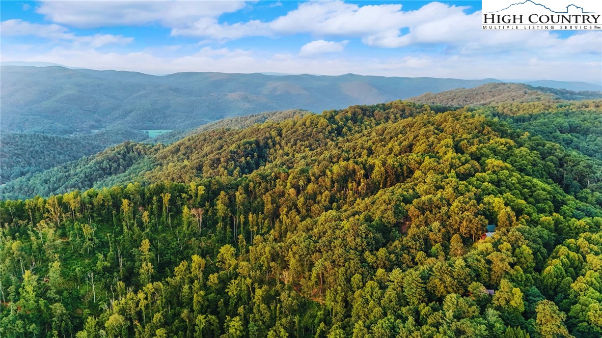 2095 Elk Ridge Road Ferguson, NC 28624 - Photo 39 of 47 a view of a lush green forest with mountains in the background