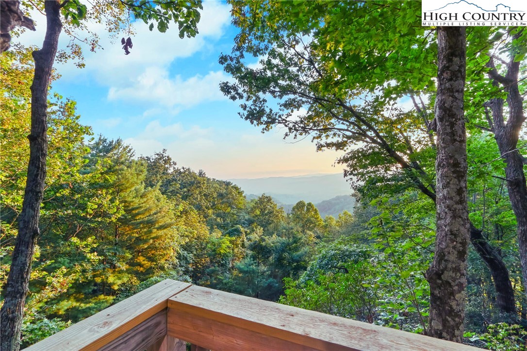 2095 Elk Ridge Road Ferguson, NC 28624 - Photo 4 of 47 a view of mountain view from a window